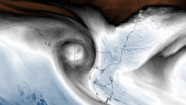 Satellite image of Tarree floods