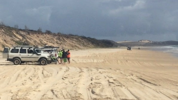 A young boy has been bitten by a dingo on Queensland's Fraser Island for the second time in weeks. 