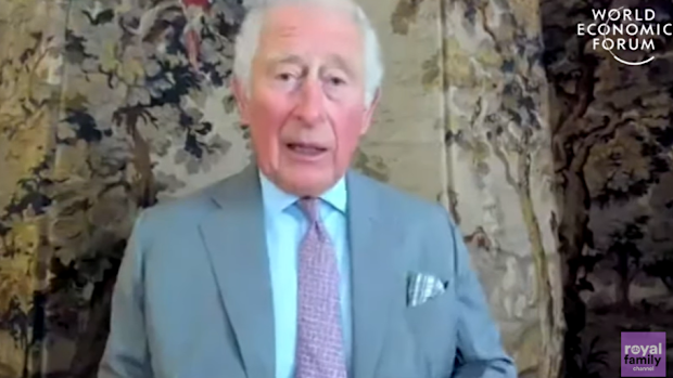 king charles video call during COVID 