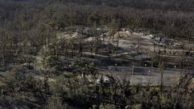 Emily burned land