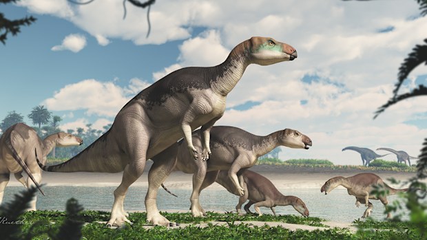 190604 NSW dinosaur discovery 60 bones Lightning Ridge mine science research news Australia