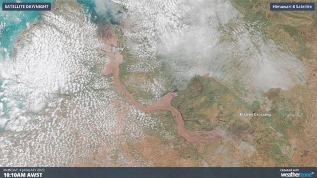 The satellite image above shows WA's Fitzroy River in full flood, after heavy rain generated by ex-tropical cyclone inundated the region.