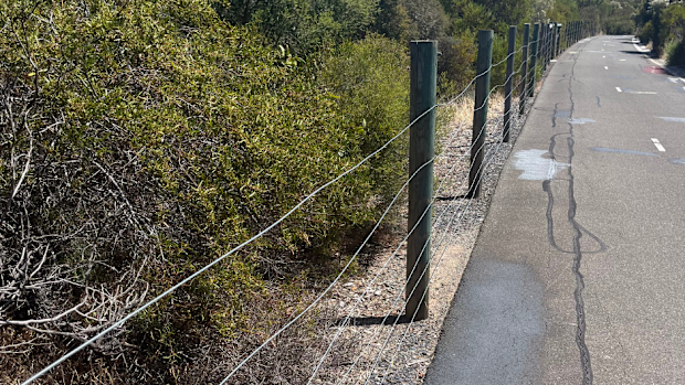Police are searching for someone "actively harming the public" after wires were strung up across a popular bike path in Adelaide, tripping and injuring unassuming cyclists.