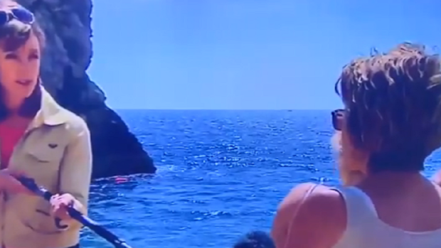 A BBC News reporter approached the family at the beach.