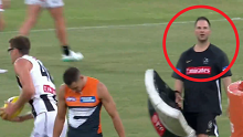 New footage of Mason Cox's incident has emerged, showing that it was his ball up with his rucking coach.