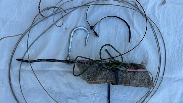 Wildlife officials are investigating after a crocodile was found dead in the Ross River mangroves.