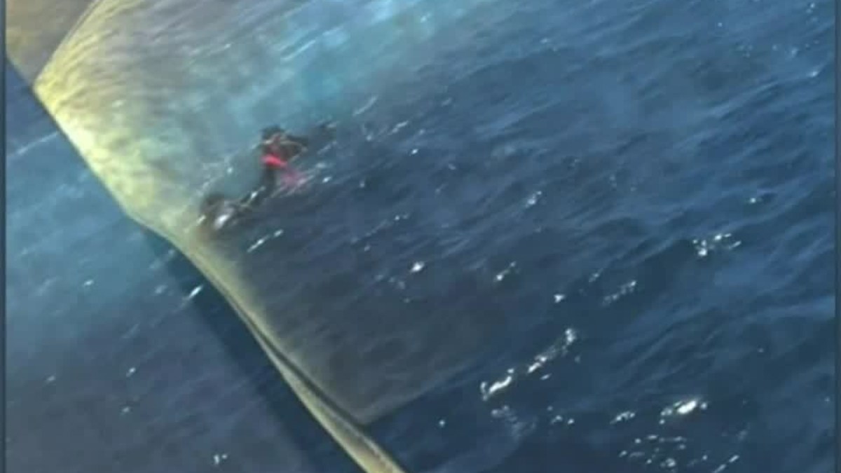 Divers allegedly stranded by tour boat rescued by ferry near Rottnest ...