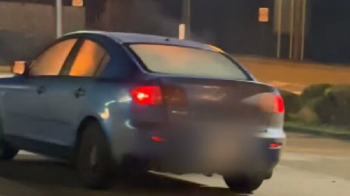 Capalaba arson: Clumsy arsonist sets themself on fire in attack on ...