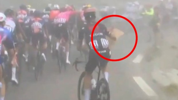 Julian Alaphilippe grabs a fan's sign clean out of their hands. 