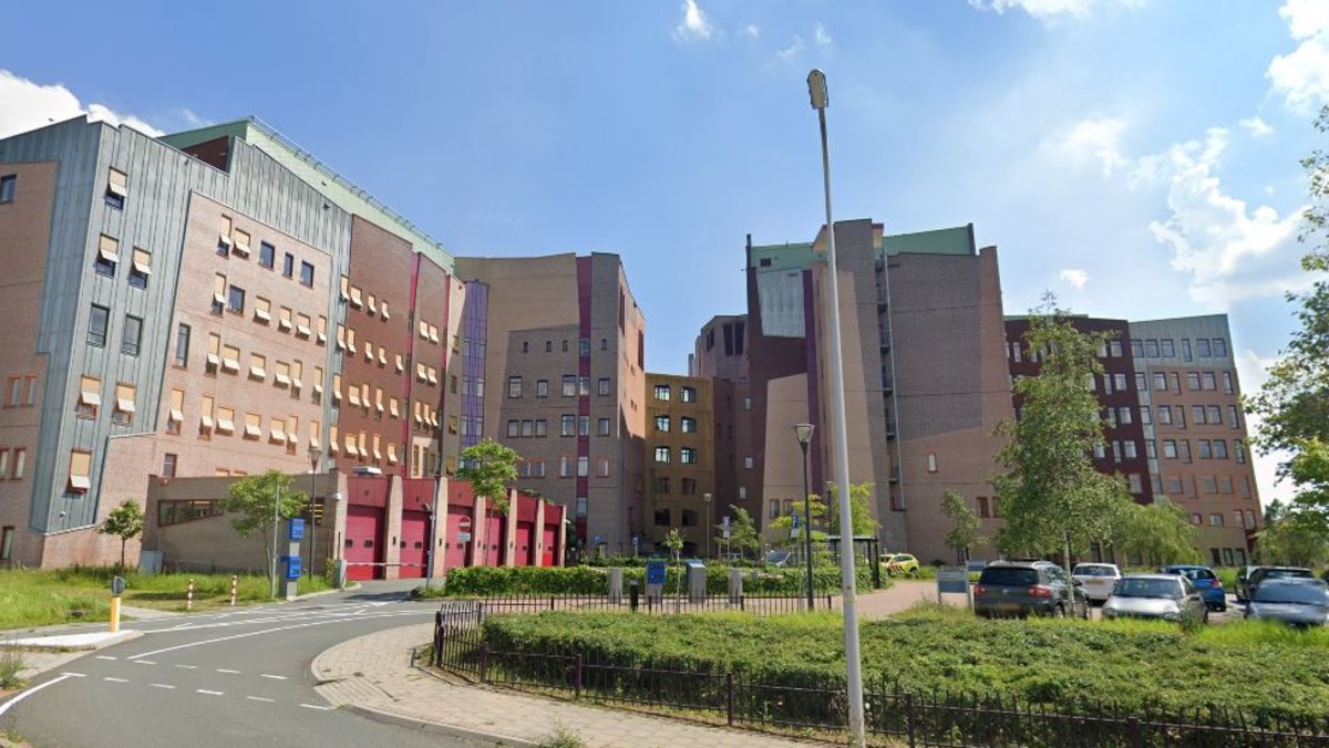 Dutch gynaecologist fathered at least 17 children as sperm donor