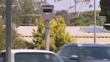 The RAA says safety cameras installed at pedestrian crossings generate more than $400,000 on average per year.