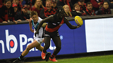 6.&nbsp;Essendon<br />