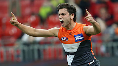 3.&nbsp;GWS<br />