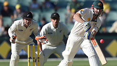 <strong>Shaun Marsh</strong>