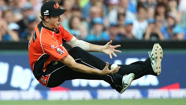 Joel Paris' spectacular catch. (Getty)