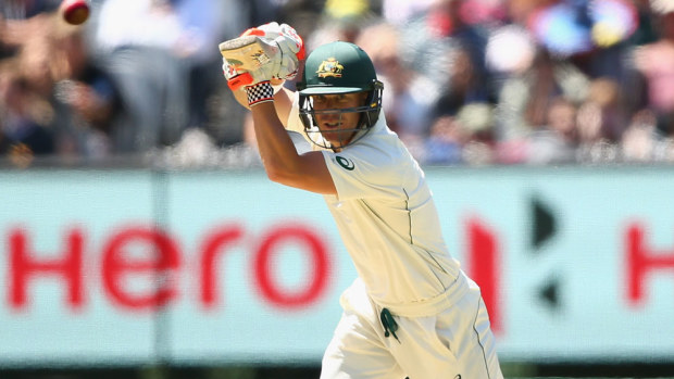 David Warner. (Getty)