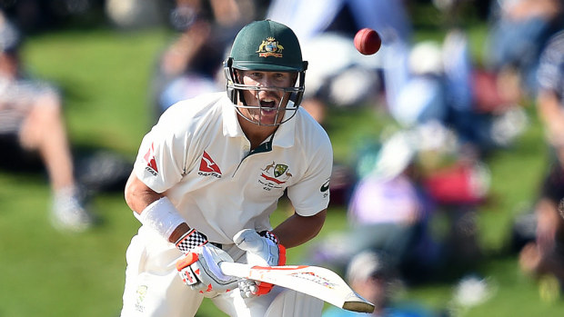 David Warner. (AAP)