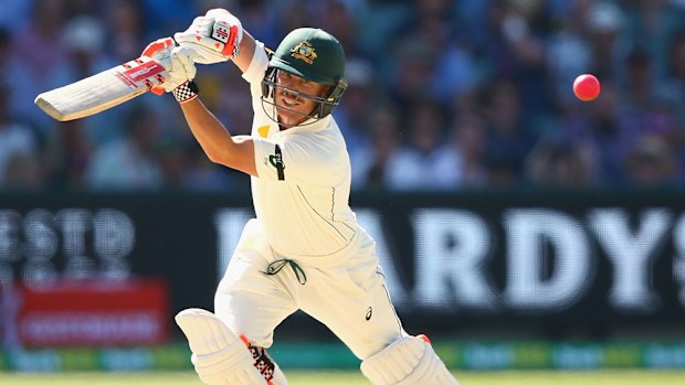 David Warner. (Getty-file)