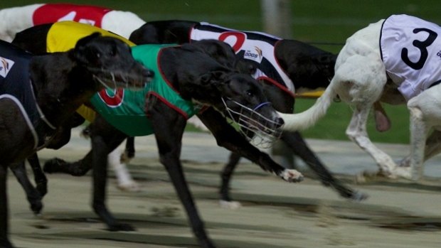 A second Queensland greyhound trainer has been charged over the live baiting scandal.