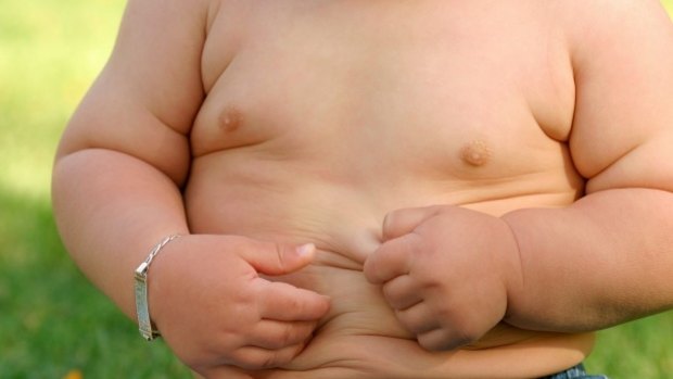 One in five Australian children are overweight or obese by the time they start school.