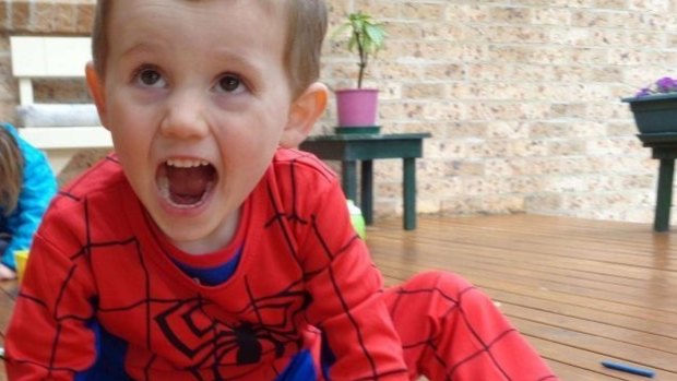 William Tyrrell was three when he vanished from a home on the NSW Mid North Coast in 2014.