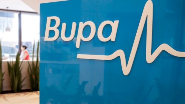 The company admitted on Friday that an employee had "inappropriately copied and removed some customer information" at its Bupa Global division.
