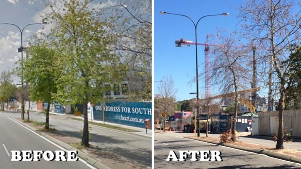 Trees outside the Civic Heart site in October and then recently. IT's not clear why they died, but residents fear the changes in groundwater have something to do with it. 
