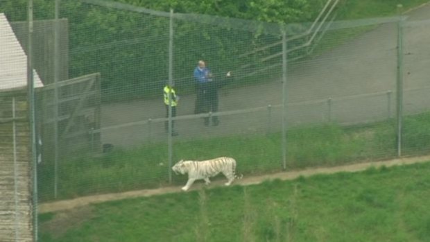 A zookeeper was killed at the Hamerton Zoo in a freak accident on Monday. 