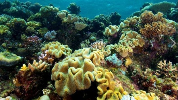 CSIRO is to do continual chemical testing of Great Barrier Reef waters for next two years