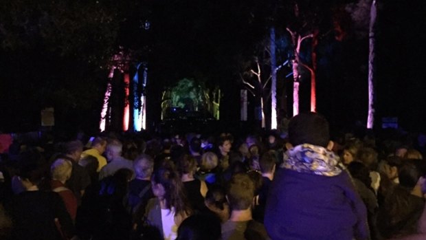 More than 40,000 people turned up to Kings Park to watch the lights show.