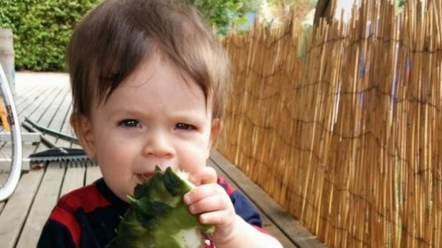 Noah Zunde died after he was left in a car outside a childcare centre.