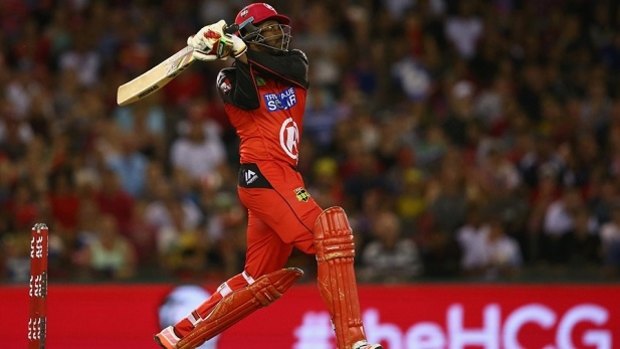 Rapid: Chris Gayle hits out for BBL side the Renegades. 