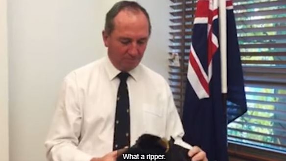 Deputy Prime Minister Barnaby Joyce wants "clean coal" included in the Clean Energy Target 