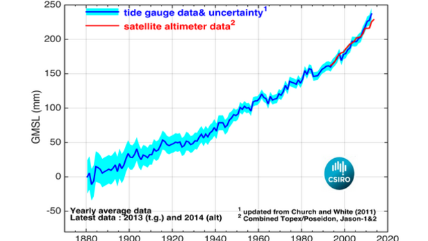 CSIRO data shows a steady - even accelerating - rate rise in sea levels.