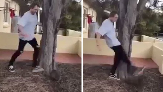 Harrison Angus McPherson pleaded guilty to animal cruelty after he was caught on camera kicking a quokka.