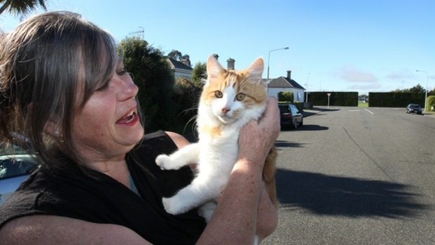 Jo Godwin with her remaining cat Reginold. 