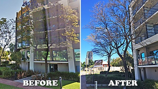 Google photographs from November 2015 (left) show the trees outside the second flooded building alive. The trees are now apparently dead. 