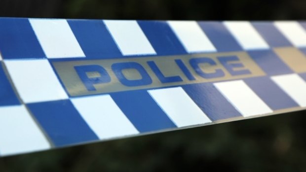 A WA officer has been stood down from duty after investigations were launched into an alleged assault