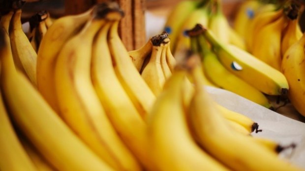 The Panama TR4 disease could have a devastating impact on the Queensland banana industry