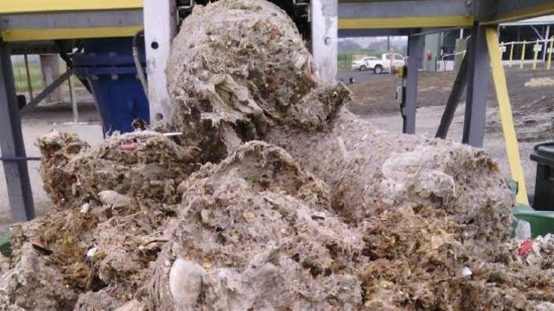 Fatbergs are created by a mixture of wet wipes, sewage, fat and oils. 