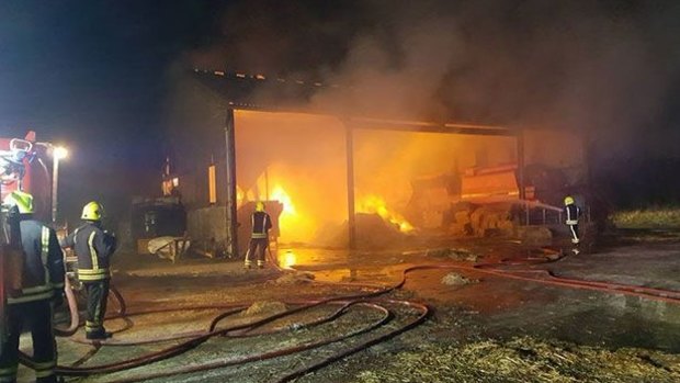 Firefighters battle a barn fire in Milton Lilbourne, England, in February 2017, rescuing 18 piglets and two sows, which the farmer later killed and fed to the rescuers as sausages.