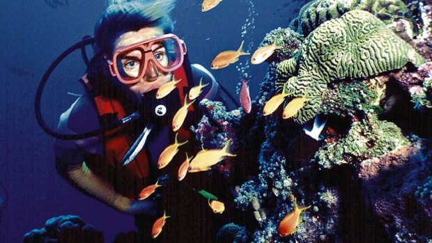 Green groups claim the Great Barrier Reef is still under threat.