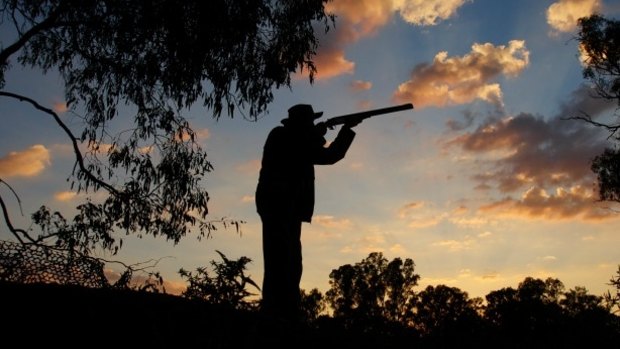 Some Labor members claim the decision to allow another duck hunting season leaves the party vulnerable to the Greens.