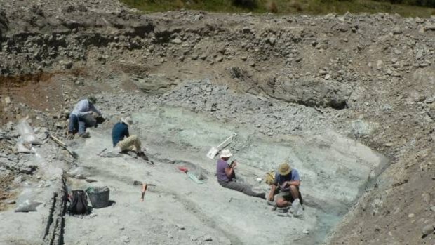 The fossil dig site at St Bathans in New Zealand where the fossilised remains of an extinct burrowing bat, Vulcanops jennyworthyae, were found.