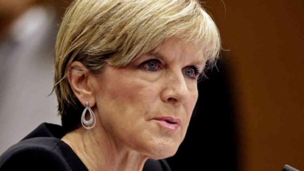 Foreign Minister Julie Bishop says the Turnbull government does not necessarily agree with every element of the statement signed in Paris.