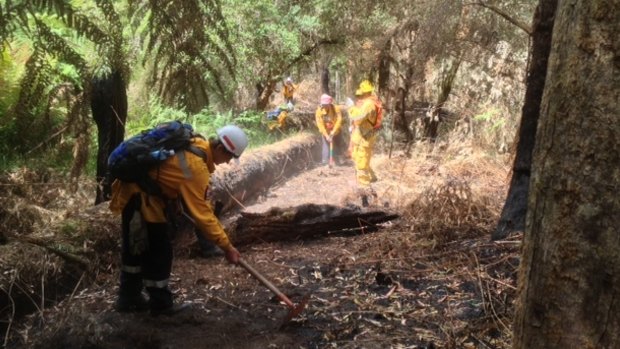 New Zealand firefighters cut-in containment lines in the Otways on Monday.