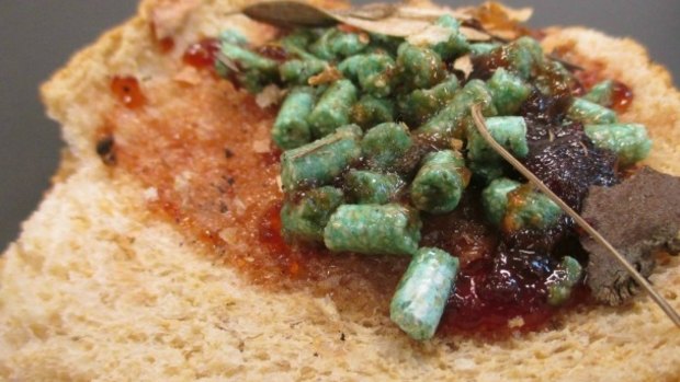 Slices of bread found with snail bait in a Blackburn laneway.