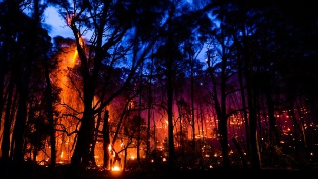 February is the month of highest bushfire danger. 