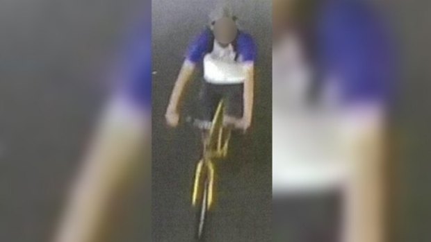 The sex attack suspect caught on CCTV.