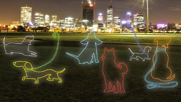 Carla O'Brien returns to White Night with a new installation, Neon Dog Park.